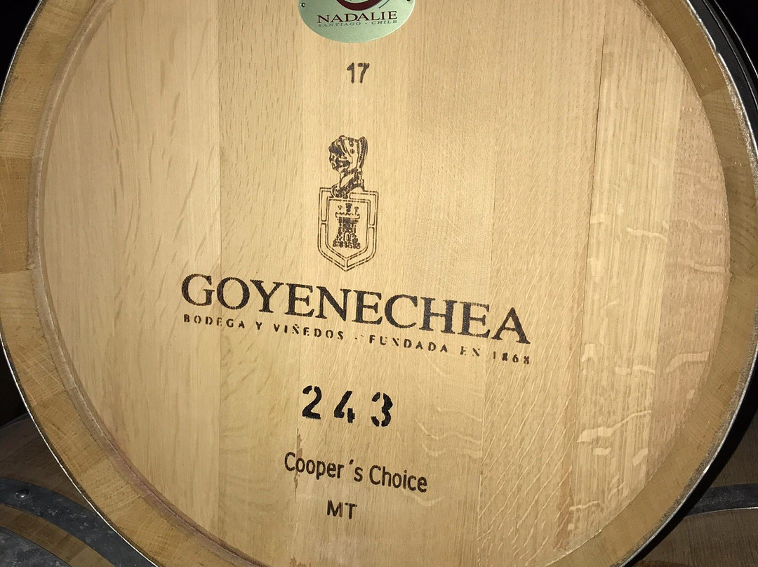 Bodega Goyenechea-圣拉斐尔必去景点