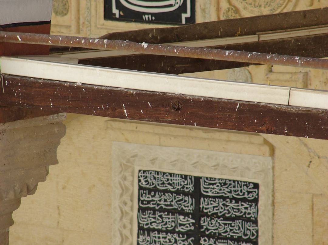 Yusuf Ziya Pasa Kulliyesi-Elazig必去景点