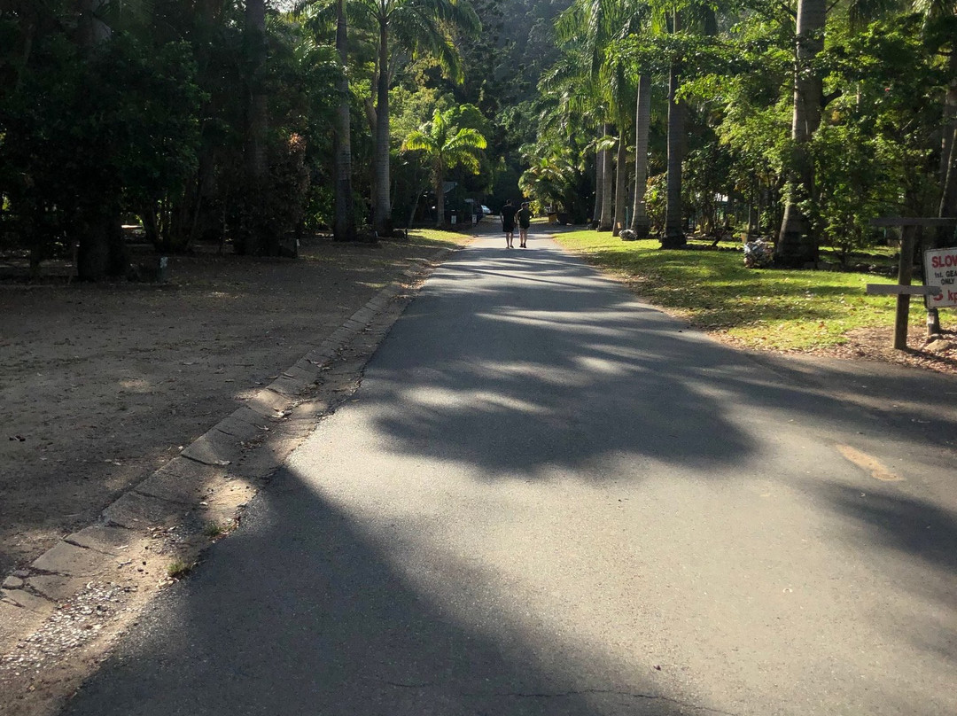 Cape Hillsborough Nature Tourist Park主图