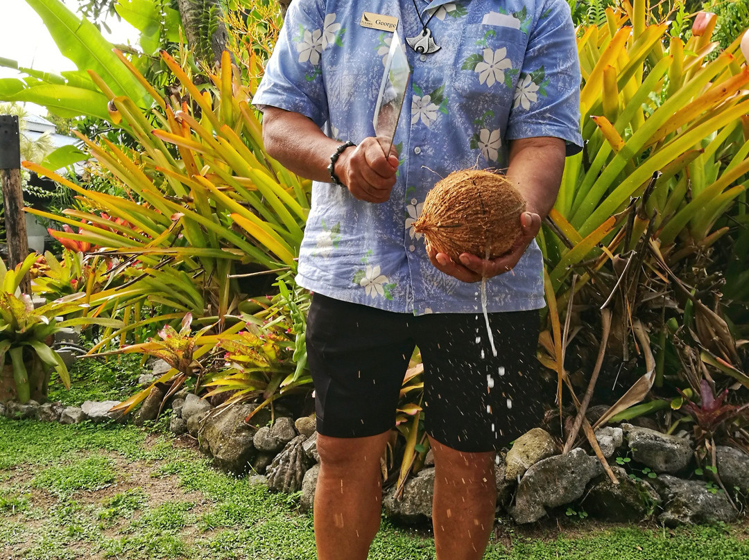Raro Tours-阿瓦鲁阿必去景点