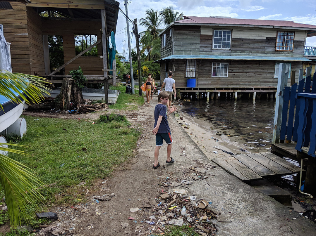 Koko Over The Water主图