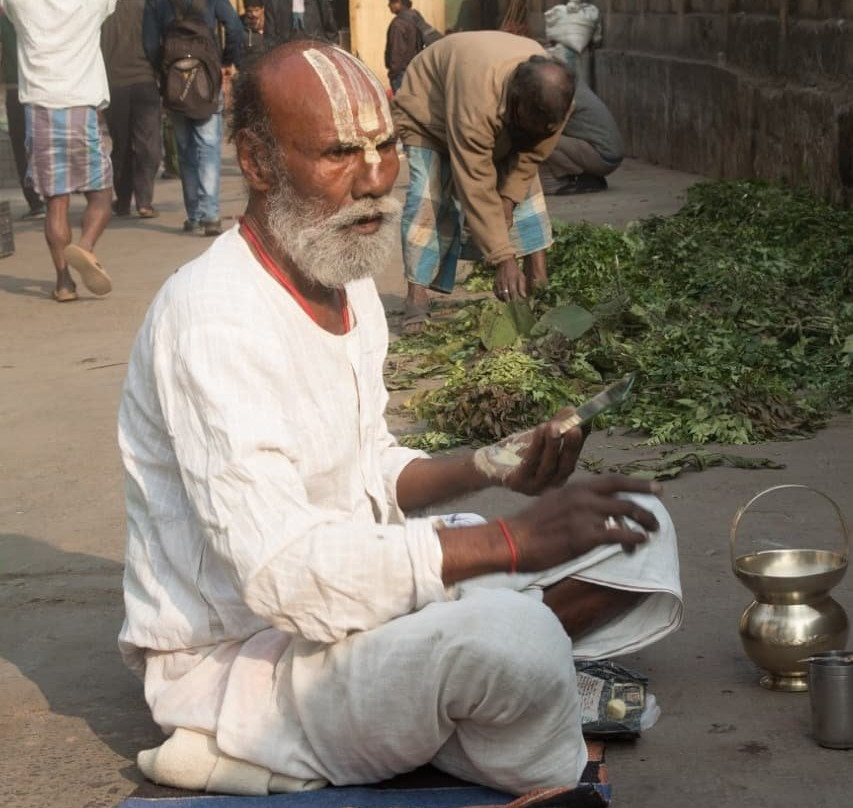 Calcutta Capsule景点图片