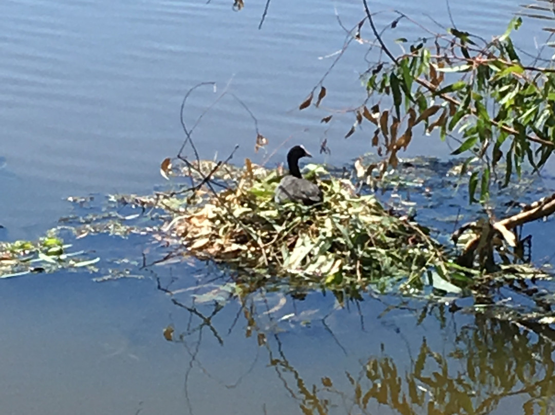 Tomato Lake-Kewdale必去景点