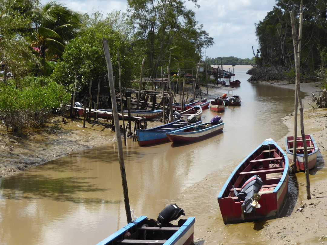 Commewijne River-帕拉马里博必去景点