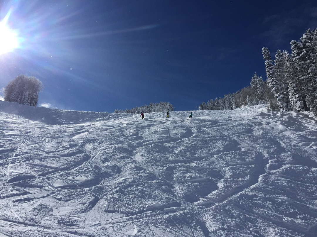 Bumps for Boomers-阿斯蓬必去景点