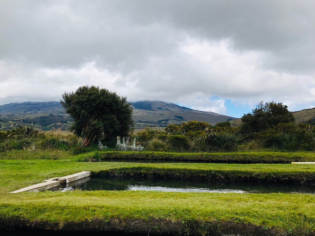 Laguna de Cumbal-Cumbal必去景点