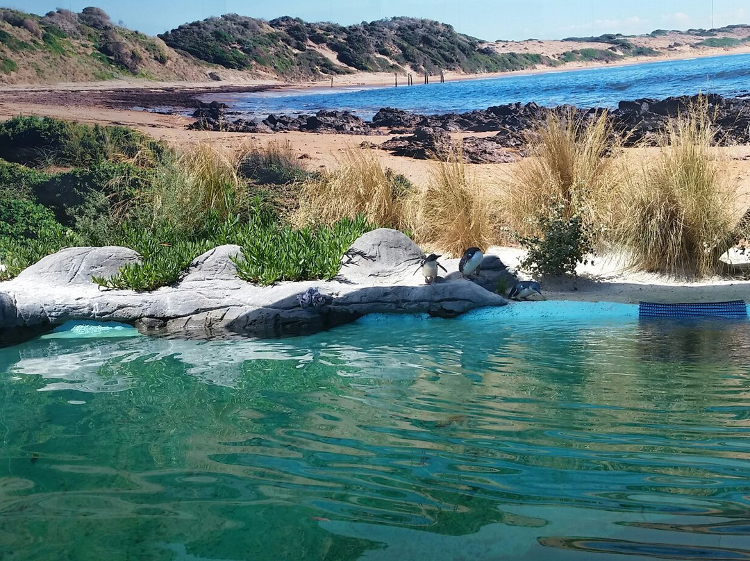 巴拉瑞特旅游攻略图片