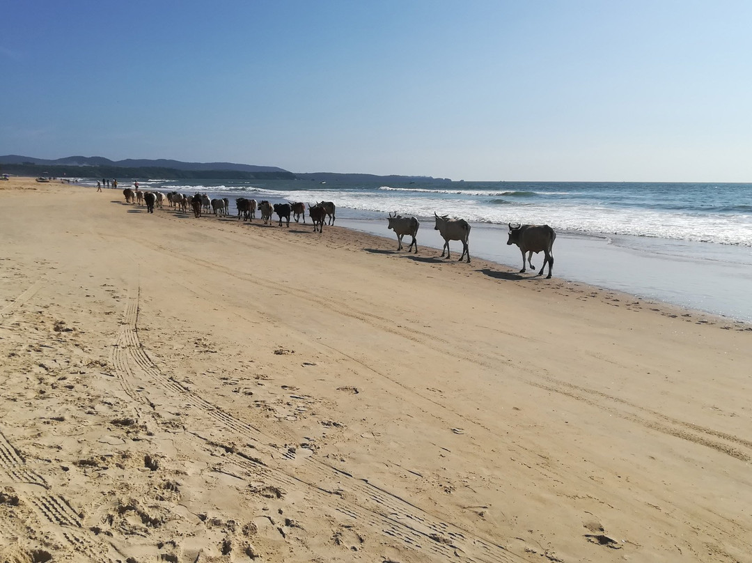 Shikara Beach Resort主图