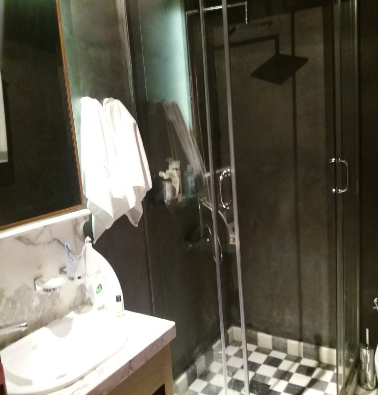 Veritas Boutique Art Hotel主图