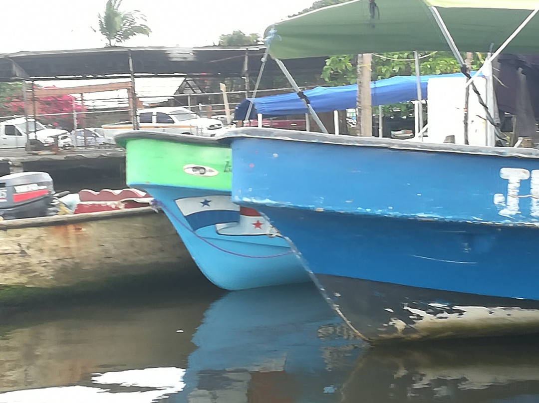 Boteros de Bastimentos-博卡斯镇必去景点