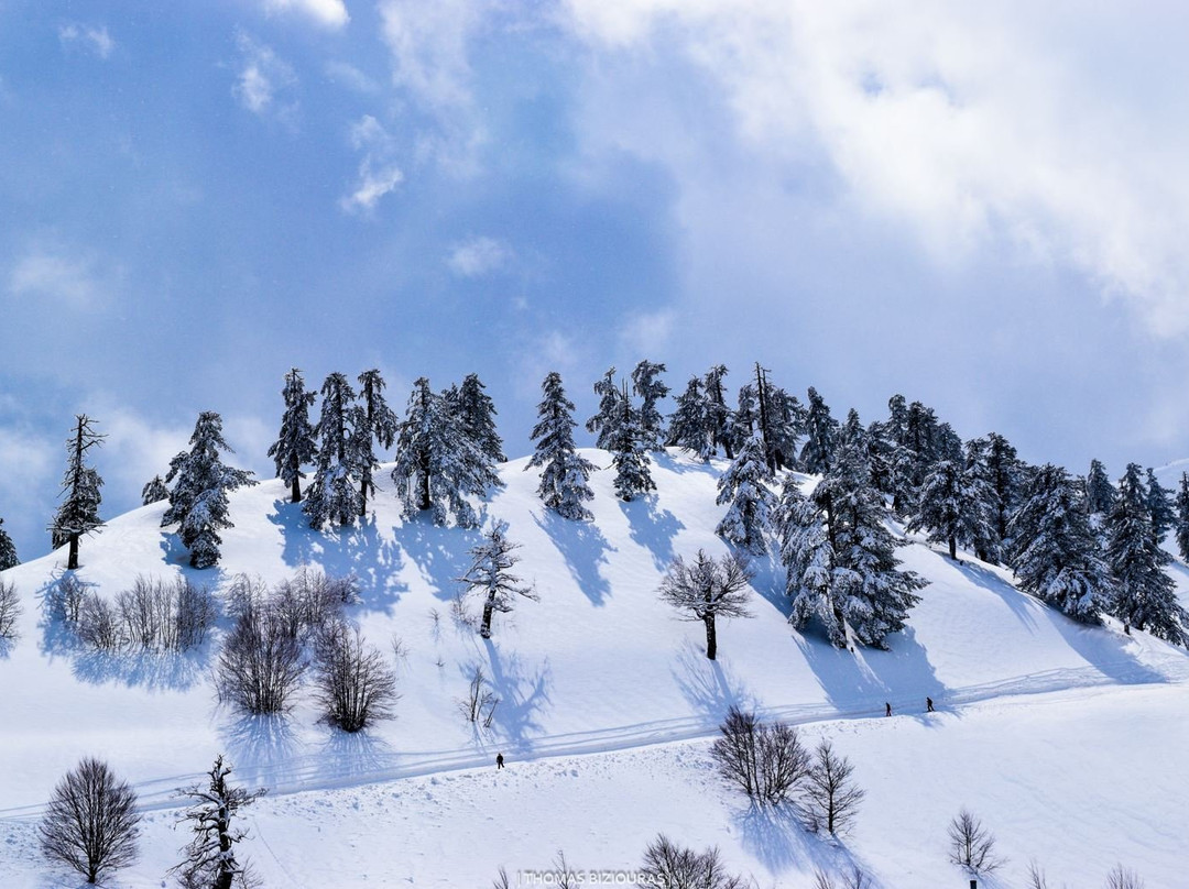 Vasilitsa Resort主图