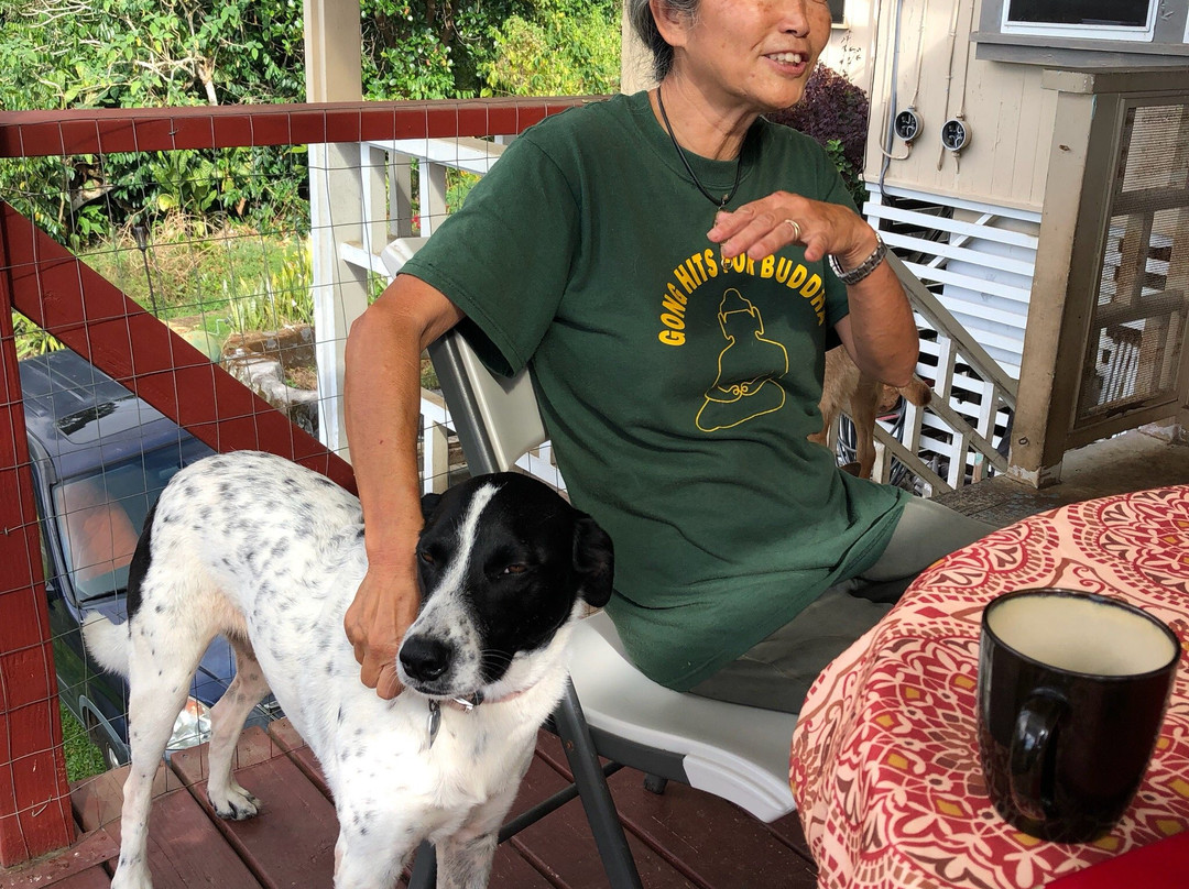 Prinsess Radha Farm-库克船长必去景点