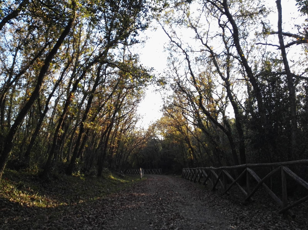 Bosco di Sant'Antuono-Mottola必去景点