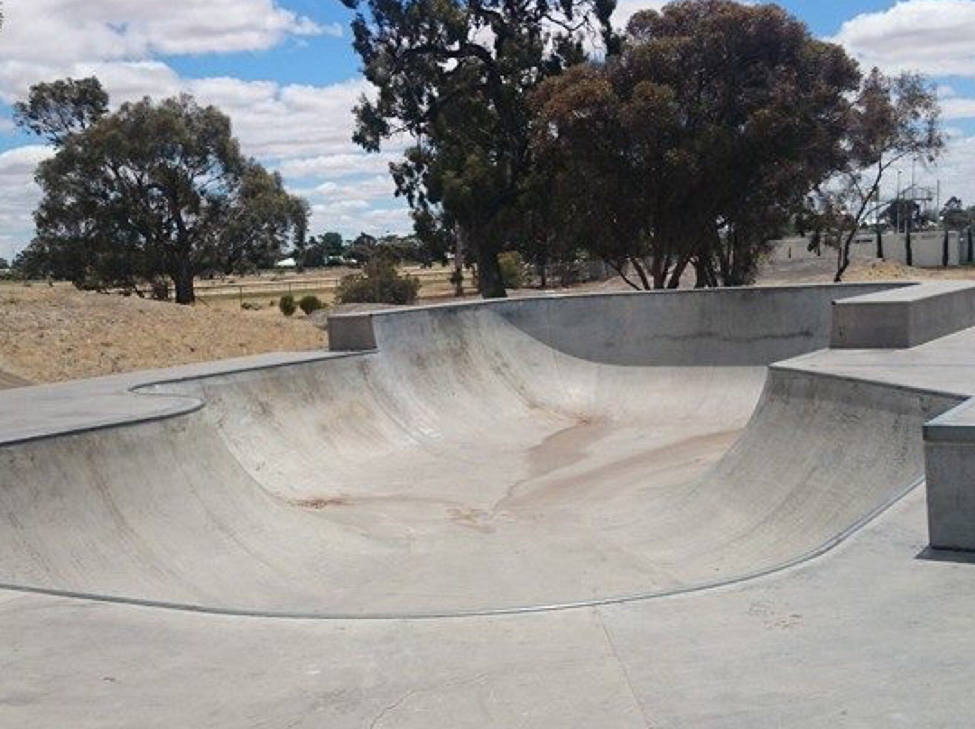 Horsham Skate Park景点图片