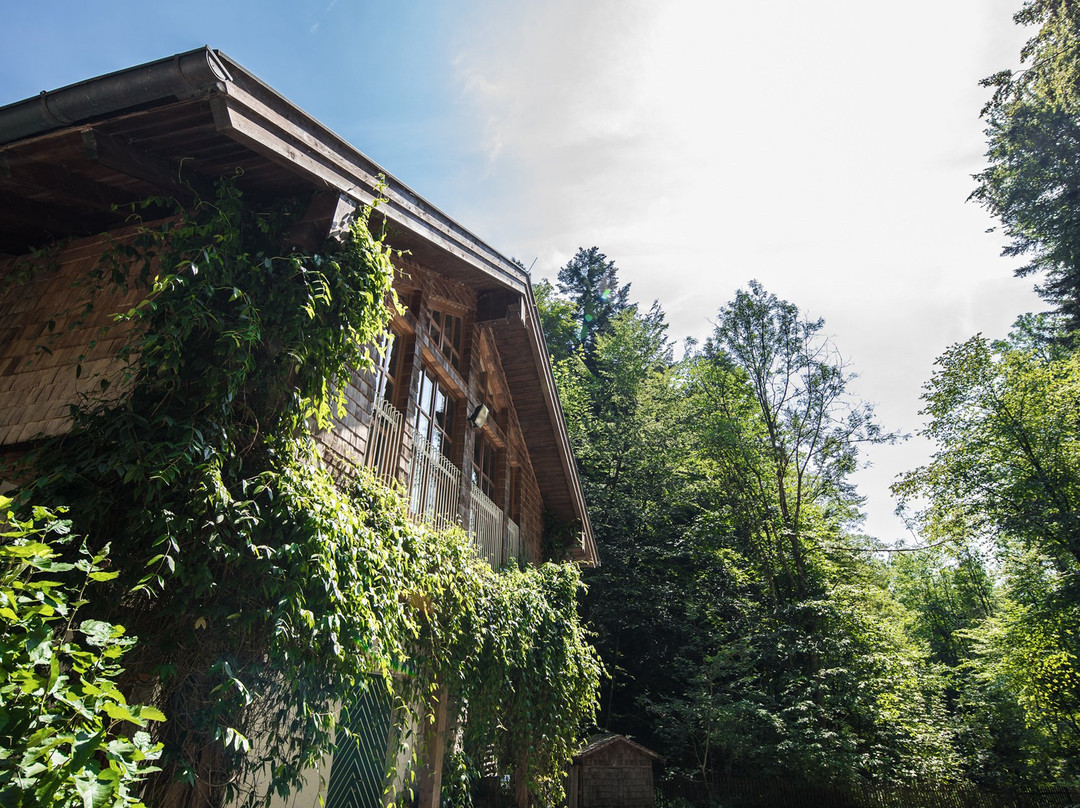 Naturidyll Hotel Hammerschmiede主图