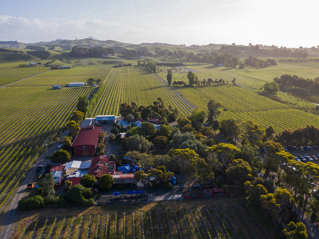 Clearview Estate Winery景点图片