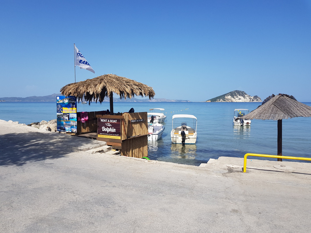 Dolphin Boat Rentals