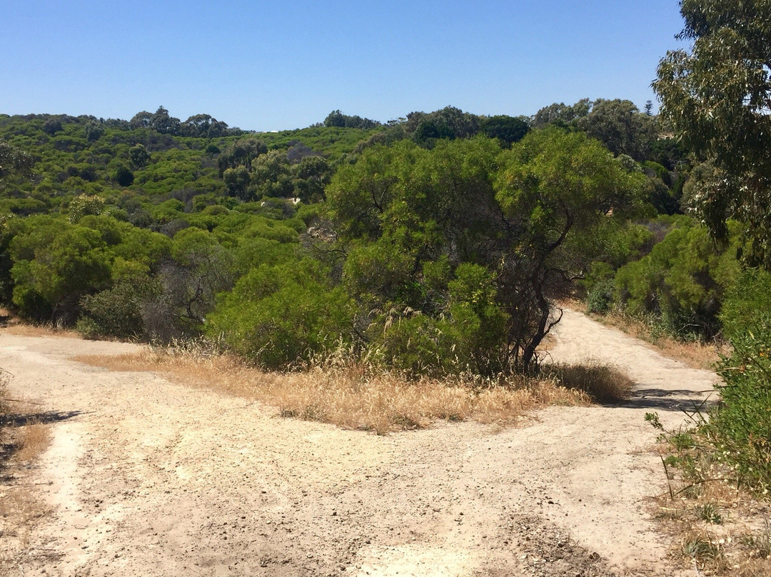 Trigg Bushland Reserve景点图片