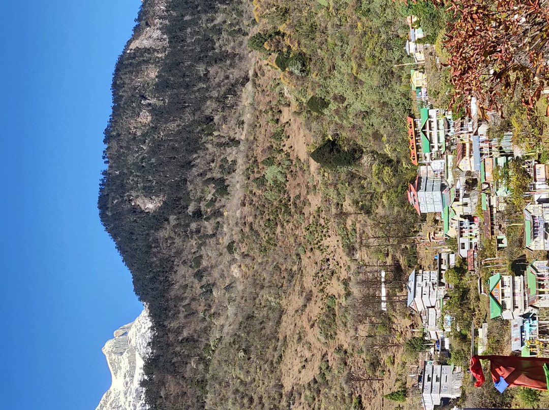 Lhakhim Homestay主图