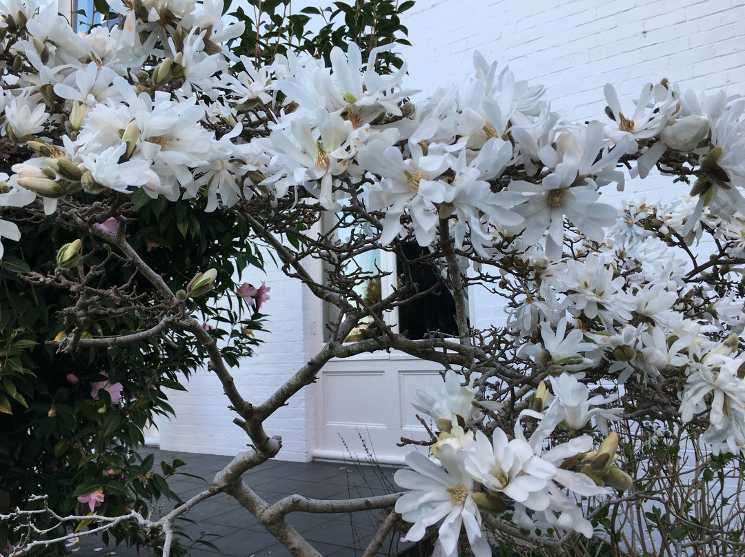 Boscobel of Tasmania主图