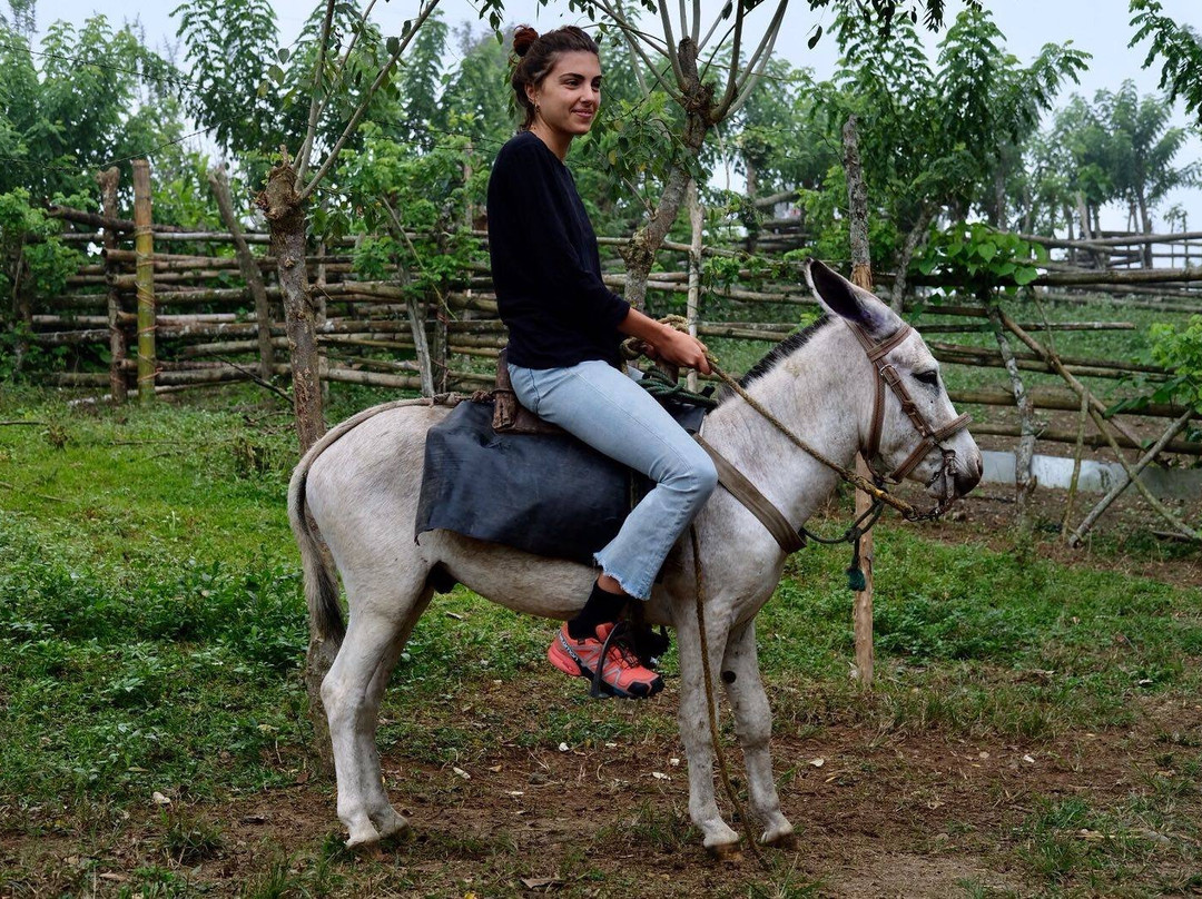 Chocolate Farm Ecuador景点图片