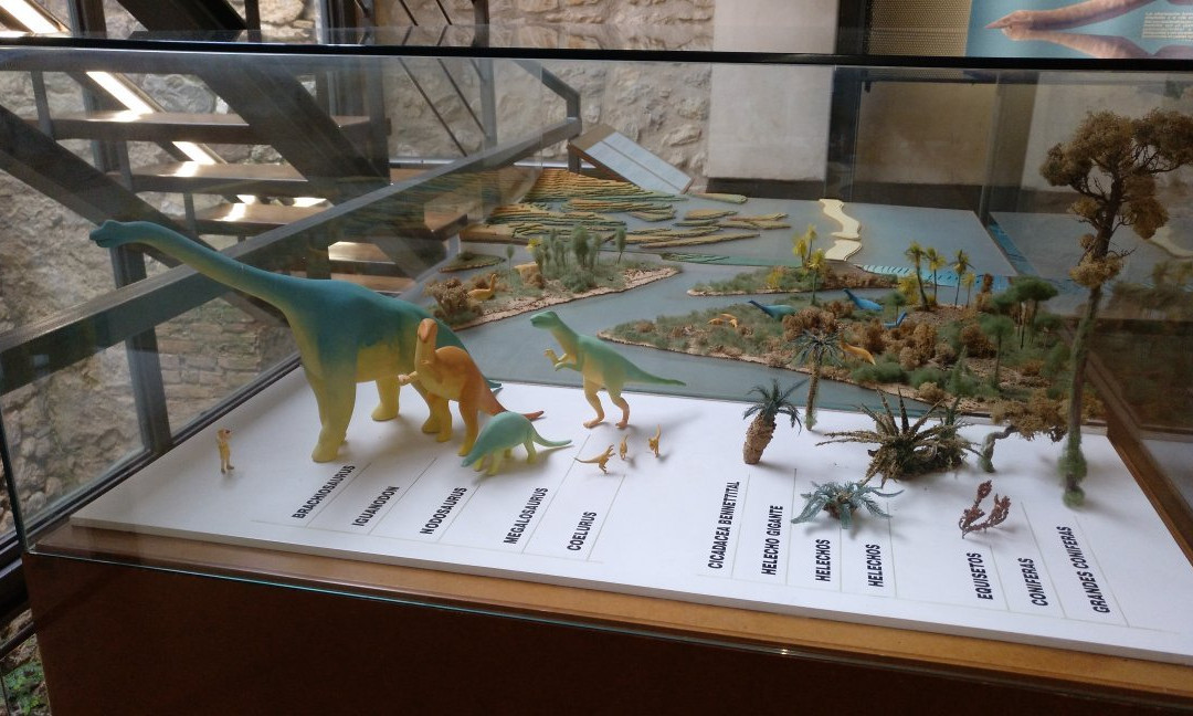 Museu Temps de Dinosaures景点图片