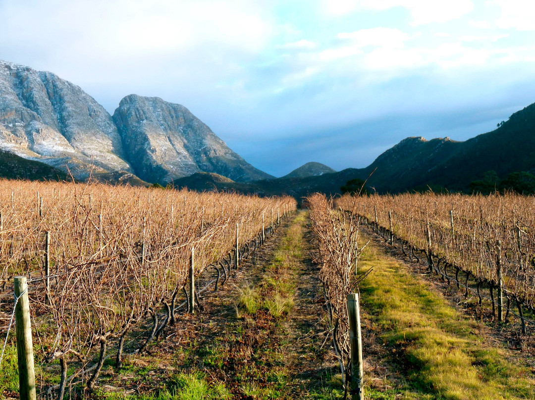 Rusoord旅游景点-Herold Wine Estate
