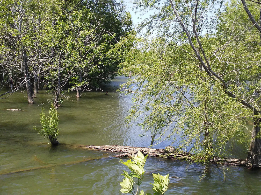 Heard Natural Science Museum & Wildlife Sanctuary-麦金尼必去景点