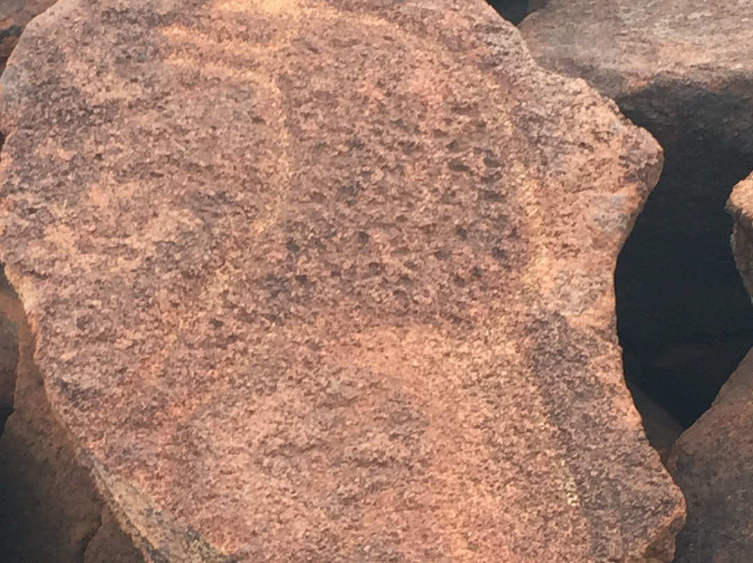 Experience Murujuga-Dampier必去景点