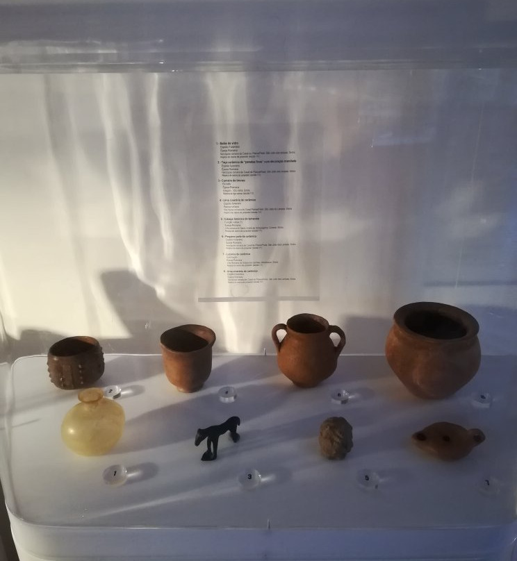 Museu de História Natural-辛特拉必去景点
