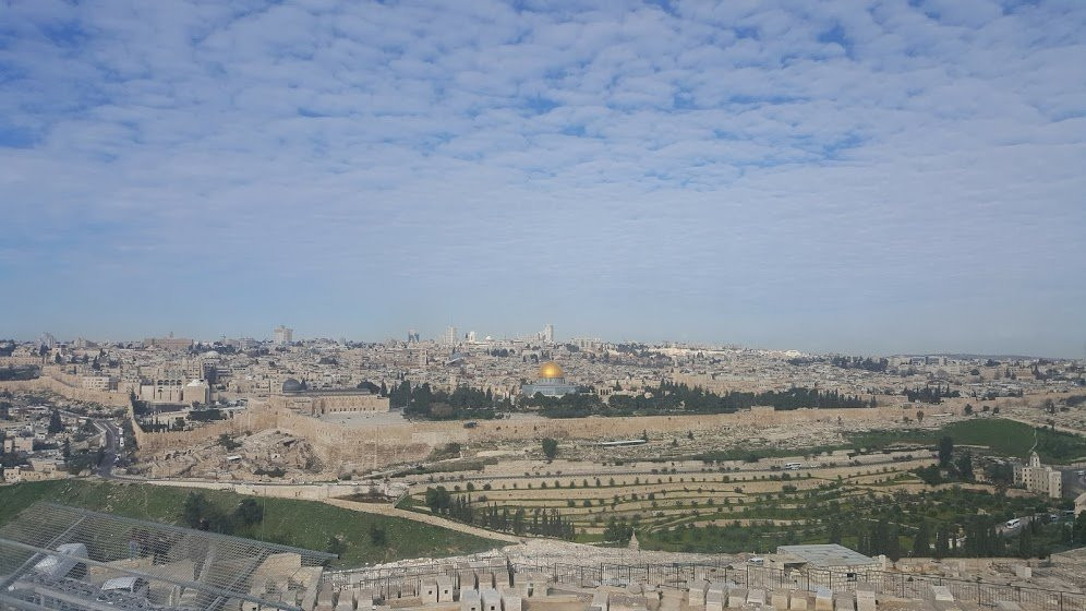 King David Tours Israel景点图片