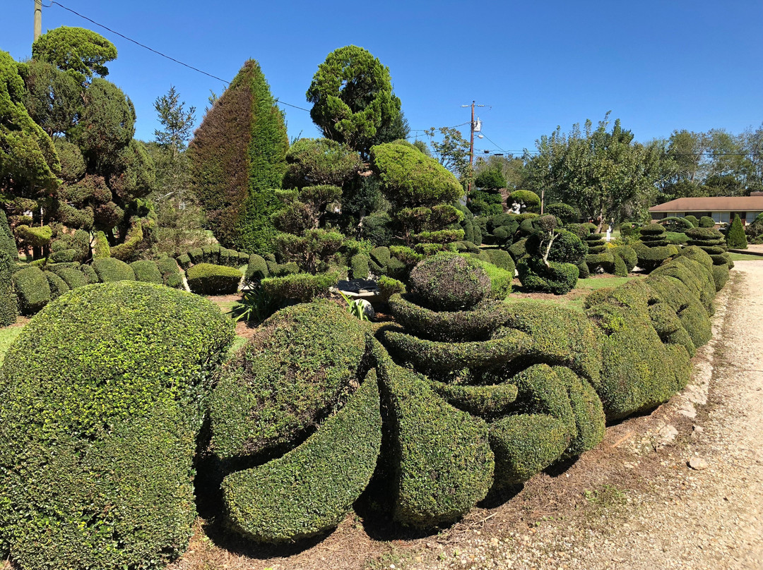 Pearl Fryar's Topiary Garden-Bishopville必去景点