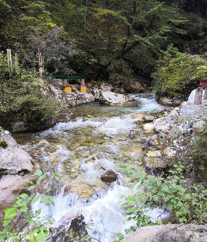 官鹅沟国家森林公园-宕昌县必去景点