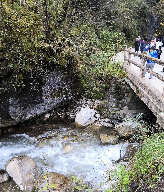 官鹅沟国家森林公园-宕昌县必去景点