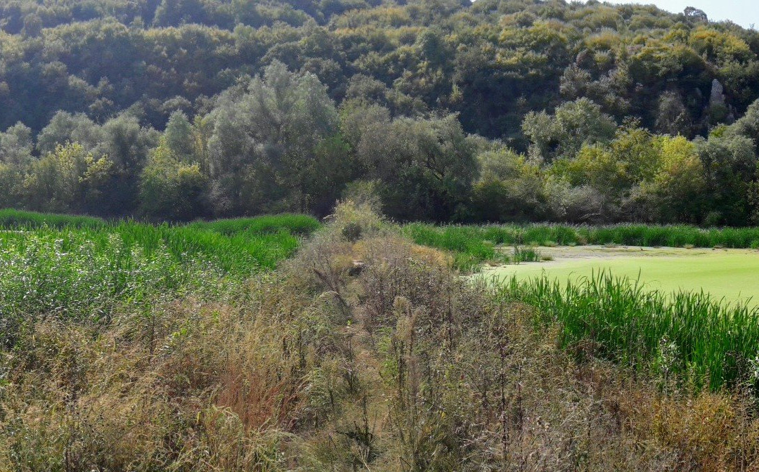 Rusenski Lom Nature Park-鲁塞必去景点