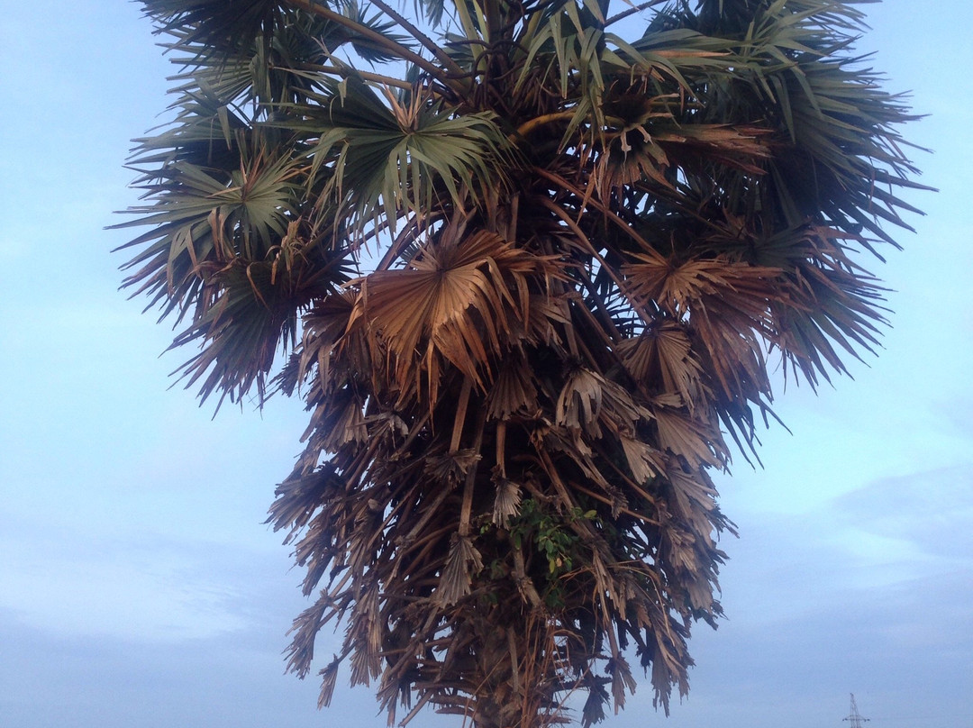 Candila Hotel & Sports Club主图