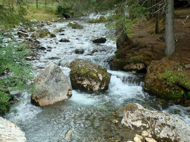 Torrente Fiorentina景点图片