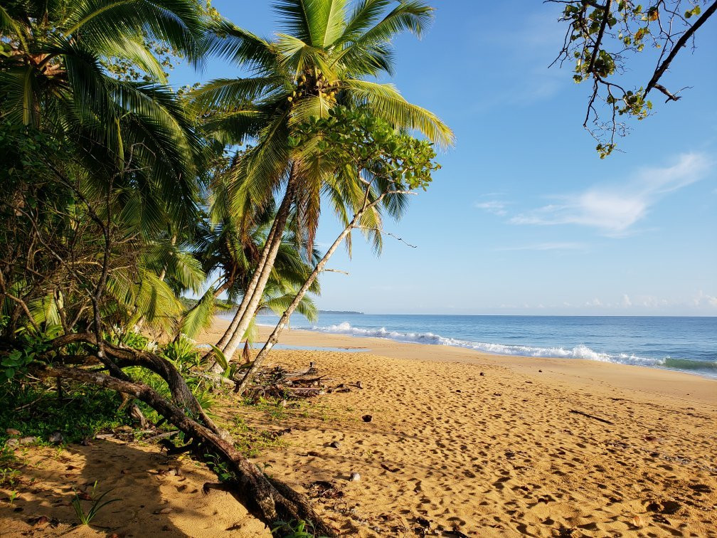 Playa Bluff景点图片