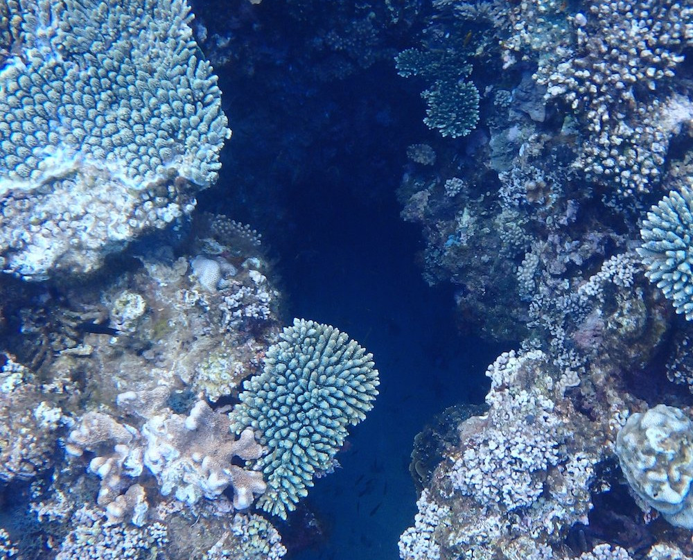 Tahiti Plage-Sada必去景点