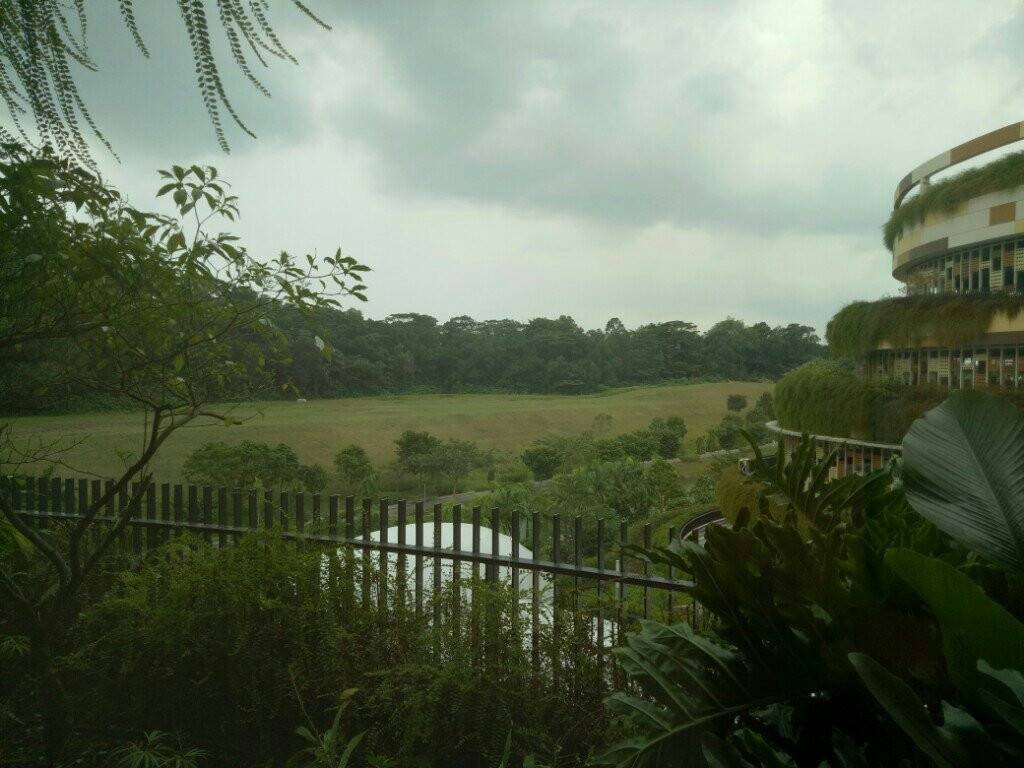 The Spa by The Ultimate-新加坡必去景点