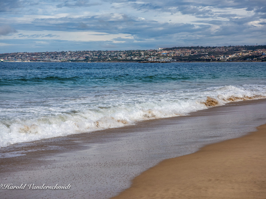 African Oceans Manor on the Beach主图