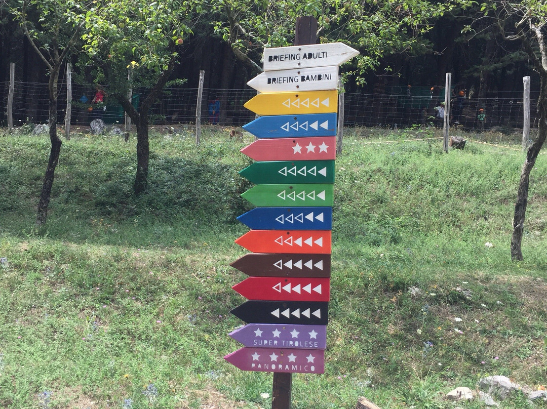 Woodpark景点图片