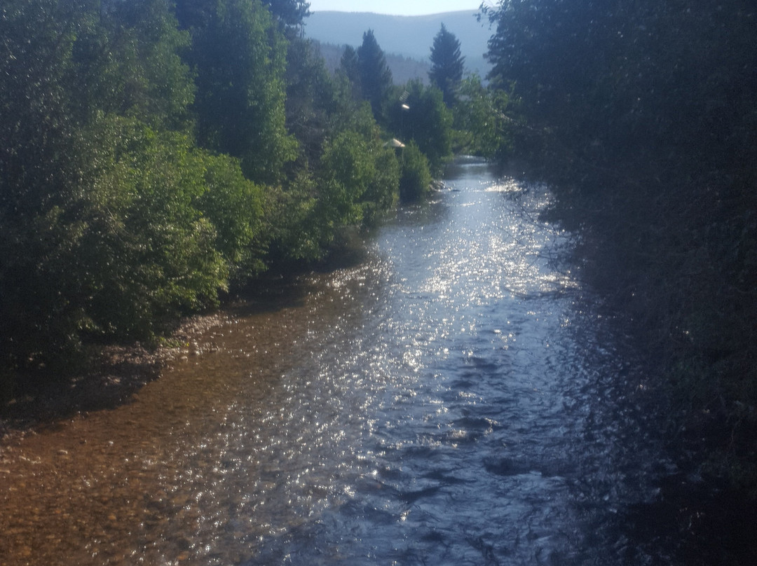 Clear Creek Reservoir-布埃纳维斯塔必去景点