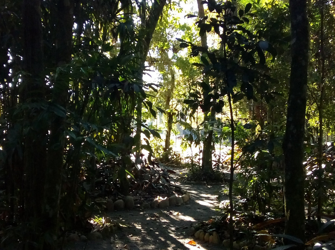 Henry Paul Park-Timbo必去景点