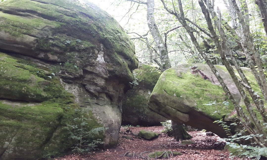 Les Roques Encantades-Susqueda必去景点