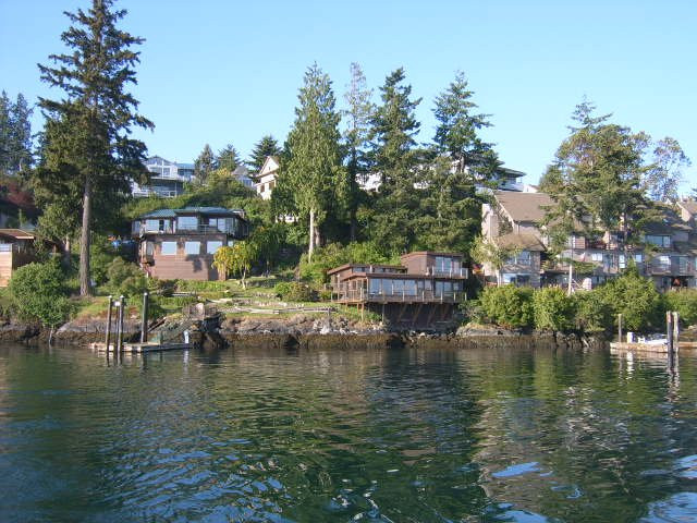 Friday Harbor Lights