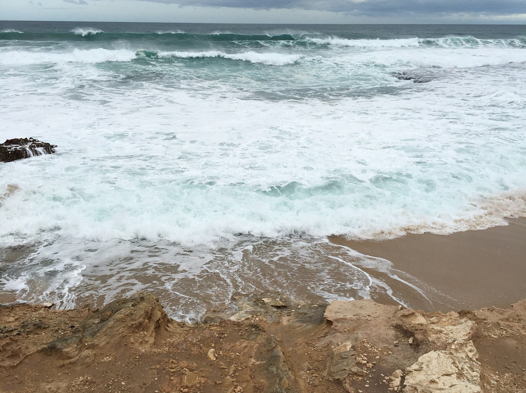 Pearses Beach景点图片