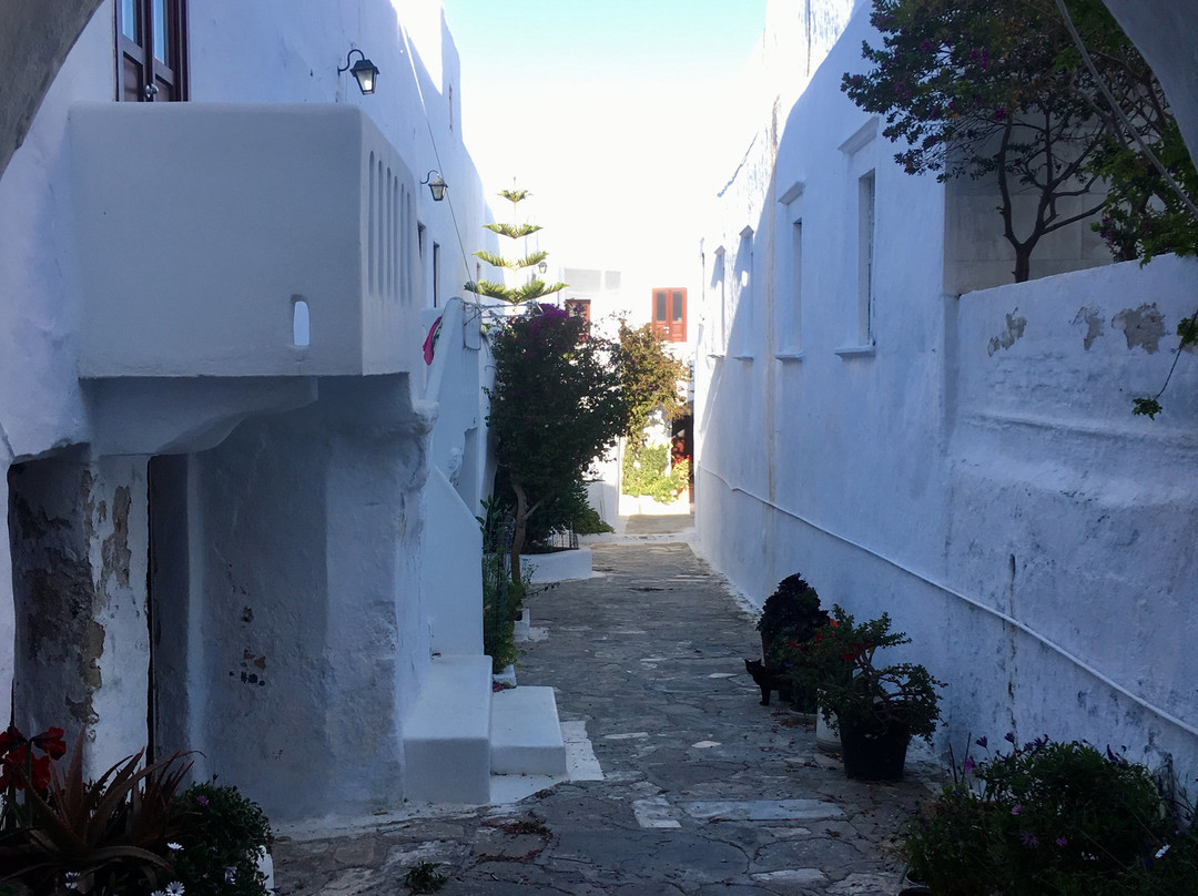 Mykonos Transportation-米科诺斯必去景点