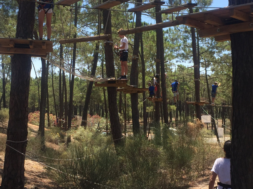 Parque Aventura景点图片