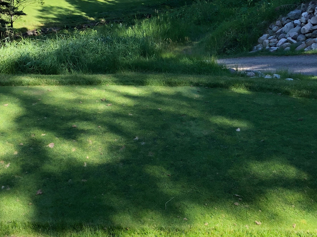 Clear Lake Golf Course-Wasagaming必去景点